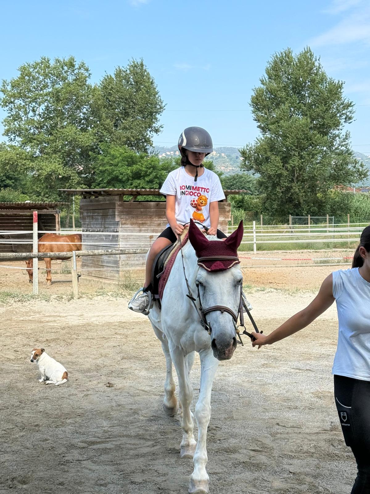 Croce Rossa Italiana comitato di Albiano Magra